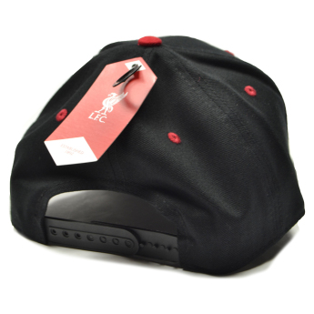 FC Liverpool șapcă de baseball Mass Frost black