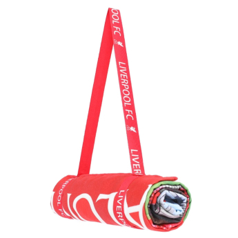 FC Liverpool prosop stadium