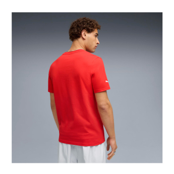 Formula 1 tricou de bărbați logo red 2026