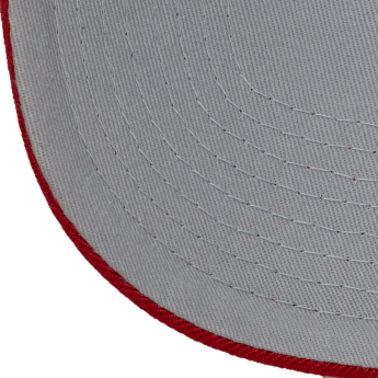 Detroit Red Wings șapcă de baseball Tailsweeps Pro Snapback