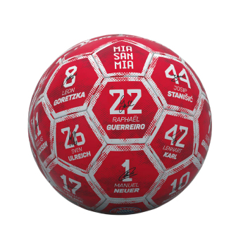 Bayern München balon de fotbal Signature 25/26