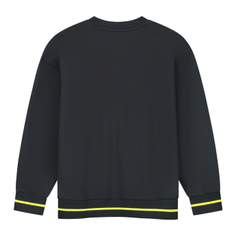 Aston Martin hanorac de bărbați oversized Stealth black F1 Team 2026