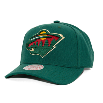Minnesota Wild șapcă de baseball NHL Team Ground 2.0 Pro Snapback