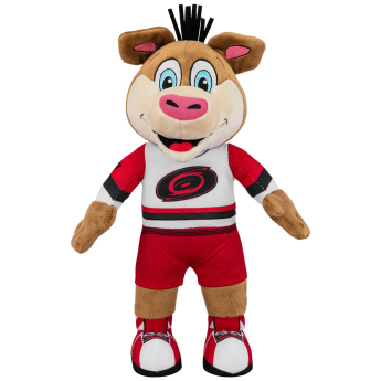 Carolina Hurricanes mascotă de pluș Stormy #97 White