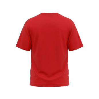 Detroit Red Wings tricou de bărbați Tek Patch red