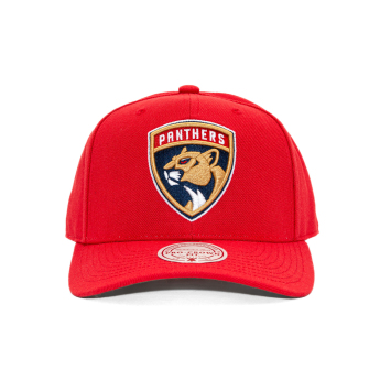 Florida Panthers șapcă de baseball Ground 2.0 Pro Snapback red