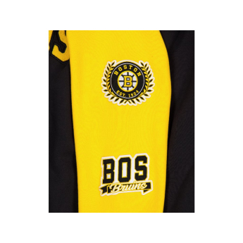 Boston Bruins hanorac de bărbați cu glugă US Edit