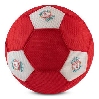 FC Liverpool minge Mesh