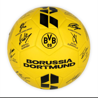 Borussia Dortmund balon de fotbal 25/26 Signature