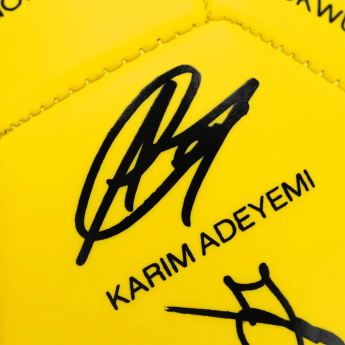 Borussia Dortmund balon de fotbal 25/26 Signature
