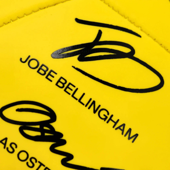 Borussia Dortmund balon de fotbal 25/26 Signature
