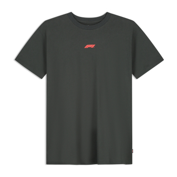 Formula 1 tricou de bărbați RDW Graphic black 2026