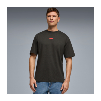 Formula 1 tricou de bărbați RDW Graphic black 2026