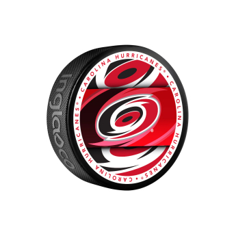 Carolina Hurricanes puc Medallion Souvenir Collector