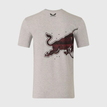 Red Bull Racing tricou de bărbați Graphic Bull grey F1 Team 2026