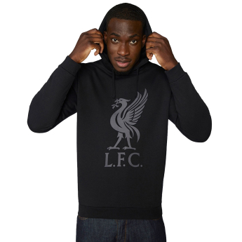 FC Liverpool hanorac de bărbați cu glugă Liverbird black