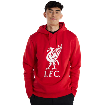 FC Liverpool hanorac de bărbați cu glugă Liverbird red