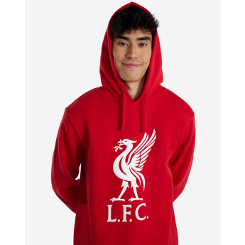 FC Liverpool hanorac de bărbați cu glugă Liverbird red