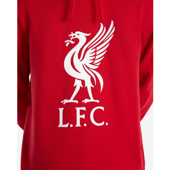 FC Liverpool hanorac de bărbați cu glugă Liverbird red