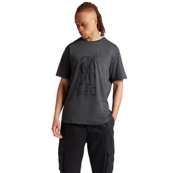 FC Liverpool tricou de bărbați Liverbird charcoal