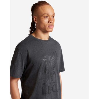 FC Liverpool tricou de bărbați Liverbird charcoal