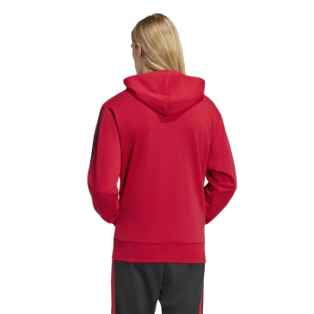 Manchester United hanorac de bărbați DNA Hoodie