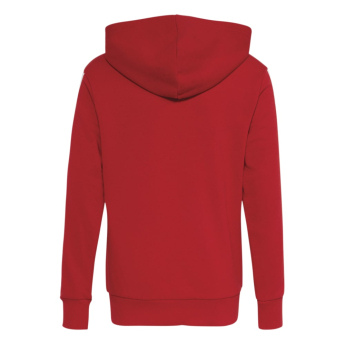 Bayern München hanorac de copii Hoodie
