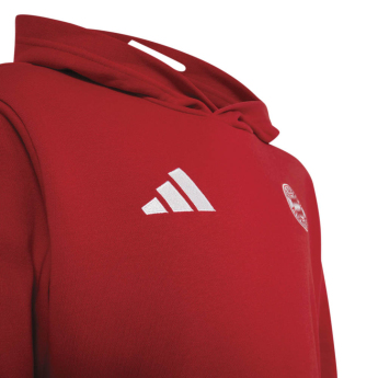 Bayern München hanorac de copii Hoodie