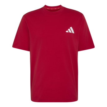 Manchester United tricou de bărbați Seasonal red