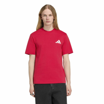 Manchester United tricou de bărbați Seasonal red
