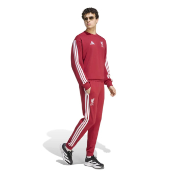 FC Liverpool hanorac de bărbați DNA Sweat red