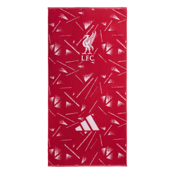 FC Liverpool prosop Beach large