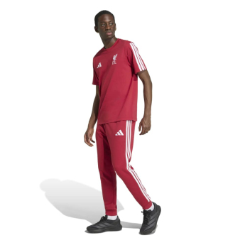 FC Liverpool tricou de bărbați DNA Tee active
