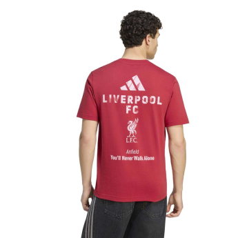 FC Liverpool tricou de bărbați Seasonal red