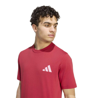 FC Liverpool tricou de bărbați Seasonal red