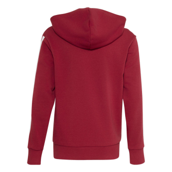 FC Liverpool hanorac cu glugă pentru copii Hoody active