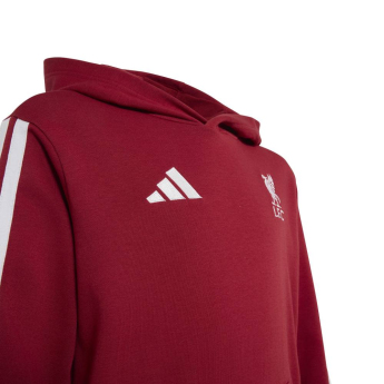 FC Liverpool hanorac cu glugă pentru copii Hoody active