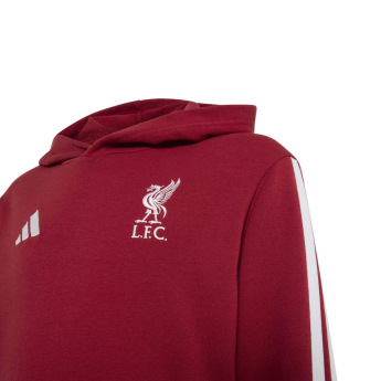 FC Liverpool hanorac cu glugă pentru copii Hoody active