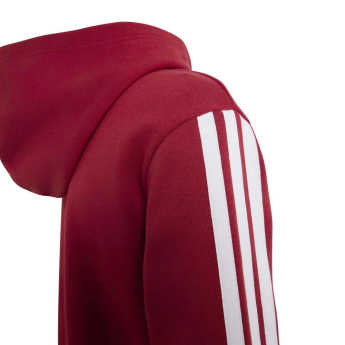 FC Liverpool hanorac cu glugă pentru copii Hoody active