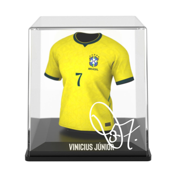 Echipa națională de fotbal Box MyJersey Vini Jr 2026
