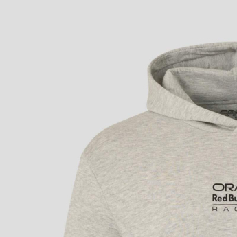 Red Bull Racing hanorac de bărbați cu glugă graphic gray F1 Team 2026