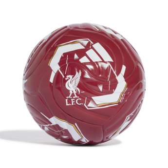 FC Liverpool minge Club Home