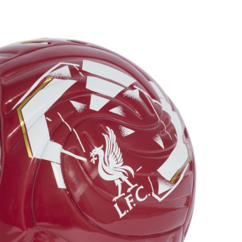 FC Liverpool minge Club Home