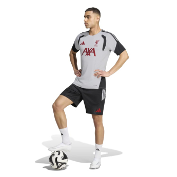 FC Liverpool tricou de fotbal Tiro grey