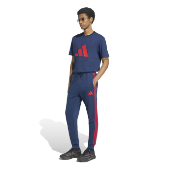 FC Arsenal tricou de bărbați DNA Graphic navy