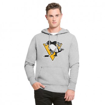 Pittsburgh Penguins hanorac de bărbați cu glugă grey Knockaround Headline