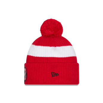 Detroit Red Wings căciulă de iarnă New Era Cold Winter