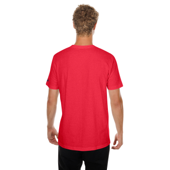 Florida Panthers tricou de bărbați NHL US Edit 2
