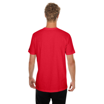 New Jersey Devils tricou de bărbați NHL US Edit 2