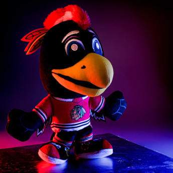 Chicago Blackhawks mascotă de pluș Chicago Blackhawks NHL Tommy Kuricha